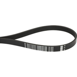 Courroie OPTIBELT 6PJ813