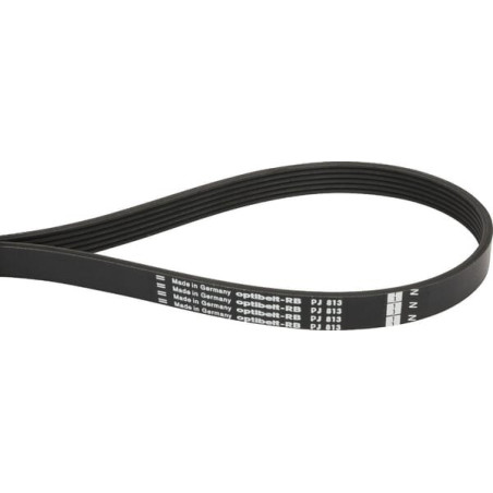 Courroie OPTIBELT 6PJ813