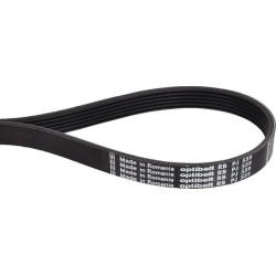 Courroie OPTIBELT 6PJ559