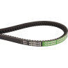 Courroie OPTIBELT 4274692M91AB