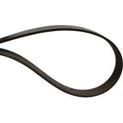 Courroie OPTIBELT 31302076AB