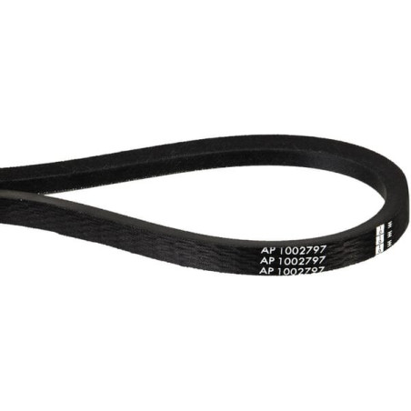 Courroie OPTIBELT 0009519170AB4