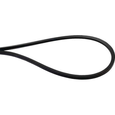 Courroie OPTIBELT 0005540931AB