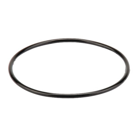 Courroie AGRIA AGWKS94046