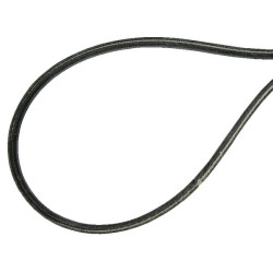 Courroie AGRIA AGW75377