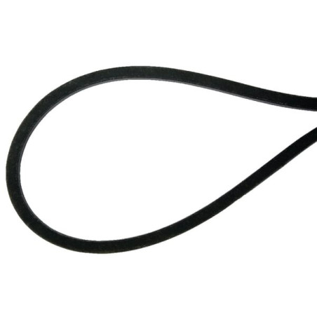 Courroie AGRIA AGW48180