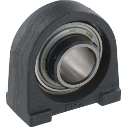 Corps de palier INA/FFAG RSHEY25N