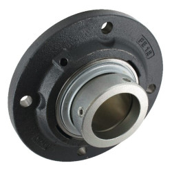 Corps de palier INA/FFAG RFE60