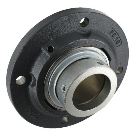 Corps de palier INA/FFAG RFE60