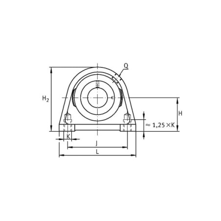 Corps de palier INA/FFAG GGSHE11