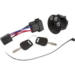 Contacteur BRIGGS ET STRATTON 7600215YP