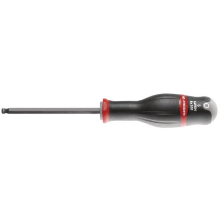 Clé mâle FACOM AWSH6X100