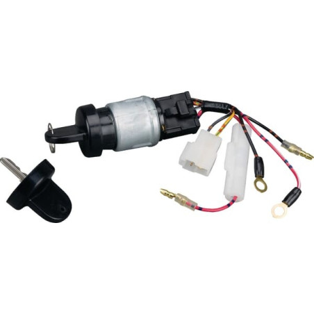 Clé BRIGGS ET STRATTON 712118