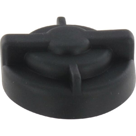 Clapet BRIGGS ET STRATTON 1718052SM