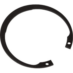 Circlip ETESIA ET21560