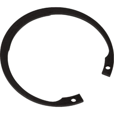 Circlip ETESIA ET21560