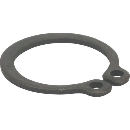 Circlip ETESIA ET34339