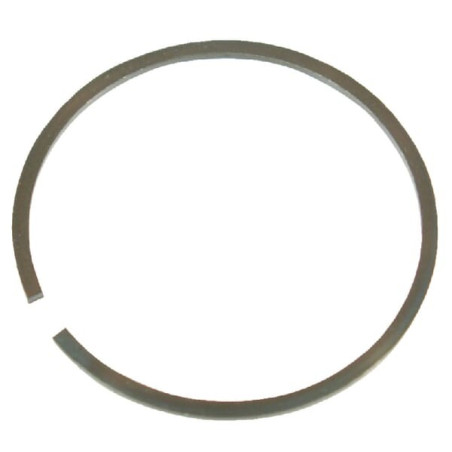 Circlip INA/FFAG SP47