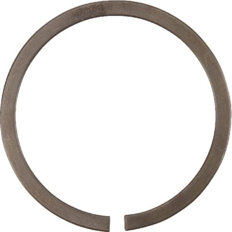 Circlip INA/FFAG SP42