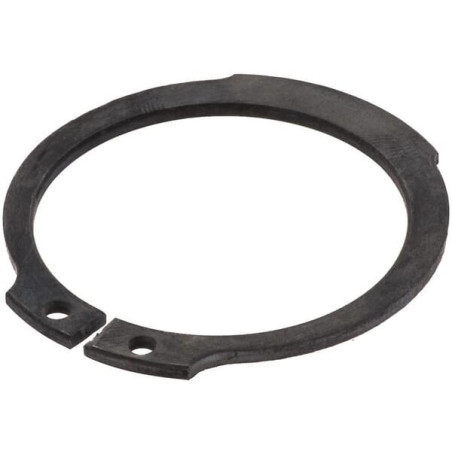 Circlip ETESIA ET71393