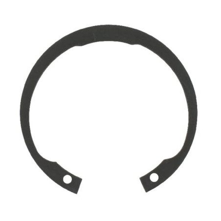 Circlip ETESIA ET34435