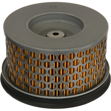 Filtre à air AGRIA AGW419011