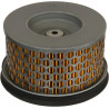 Filtre à air AGRIA AGW419011