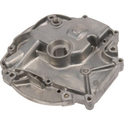 Carter de protection BRIGGS ET STRATTON 793509