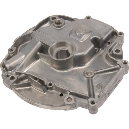 Carter de protection BRIGGS ET STRATTON 793509