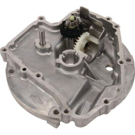 Carter de protection BRIGGS ET STRATTON 793509