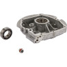 Carter de protection BRIGGS ET STRATTON 592941