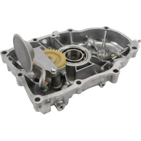 Carter de protection BRIGGS ET STRATTON 844588