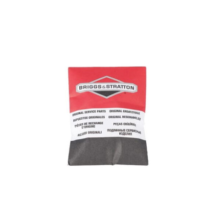 Carter de protection BRIGGS ET STRATTON 798994