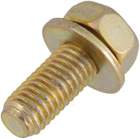 Carter de protection BRIGGS ET STRATTON 798994