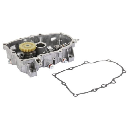 Carter de protection BRIGGS ET STRATTON 843954