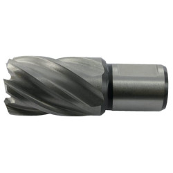 Caroteur 15x30mm HIKOKI 754404