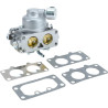 Carburateur BRIGGS ET STRATTON 595613