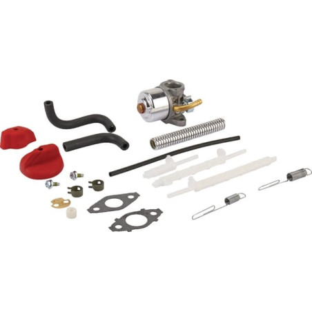 Carburateur BRIGGS ET STRATTON 798917