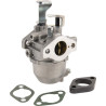 Carburateur BRIGGS ET STRATTON 715473