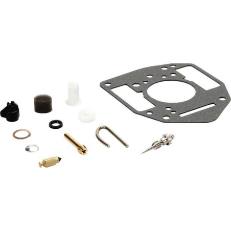 Carburateur BRIGGS ET STRATTON 842877