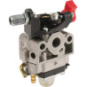 Carburateur ALPINA ALP6990026