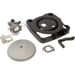 Carburateur BRIGGS ET STRATTON 847393