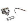 Carburateur BRIGGS ET STRATTON 845199