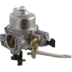 Carburateur BRIGGS ET STRATTON 799882