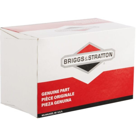 Carburateur BRIGGS ET STRATTON 799882