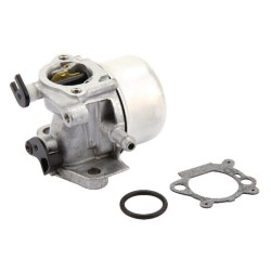 Carburateur BRIGGS ET STRATTON 799871