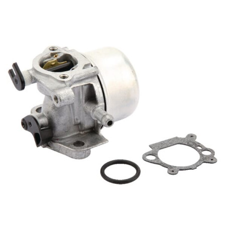 Carburateur BRIGGS ET STRATTON 799871