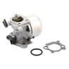 Carburateur BRIGGS ET STRATTON 799871