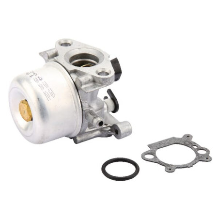 Carburateur BRIGGS ET STRATTON 799871