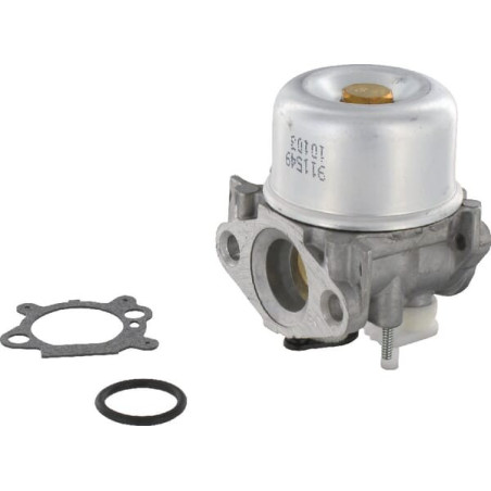 Carburateur BRIGGS ET STRATTON 799869